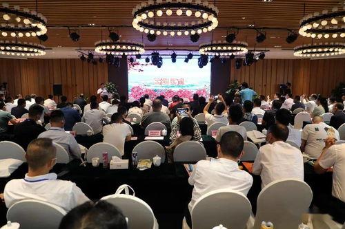 杨受成干了女明星白冰