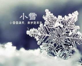 小雪图片大全,银装素裹的冬日美景赏析